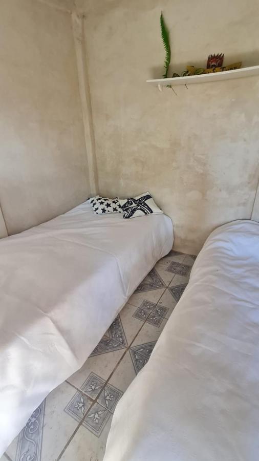 فندق Zacatecolucaفي  Surf & Turf المظهر الخارجي الصورة