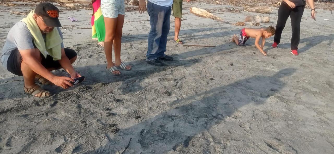 فندق Zacatecolucaفي  Surf & Turf المظهر الخارجي الصورة